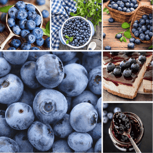 blueberry jam 